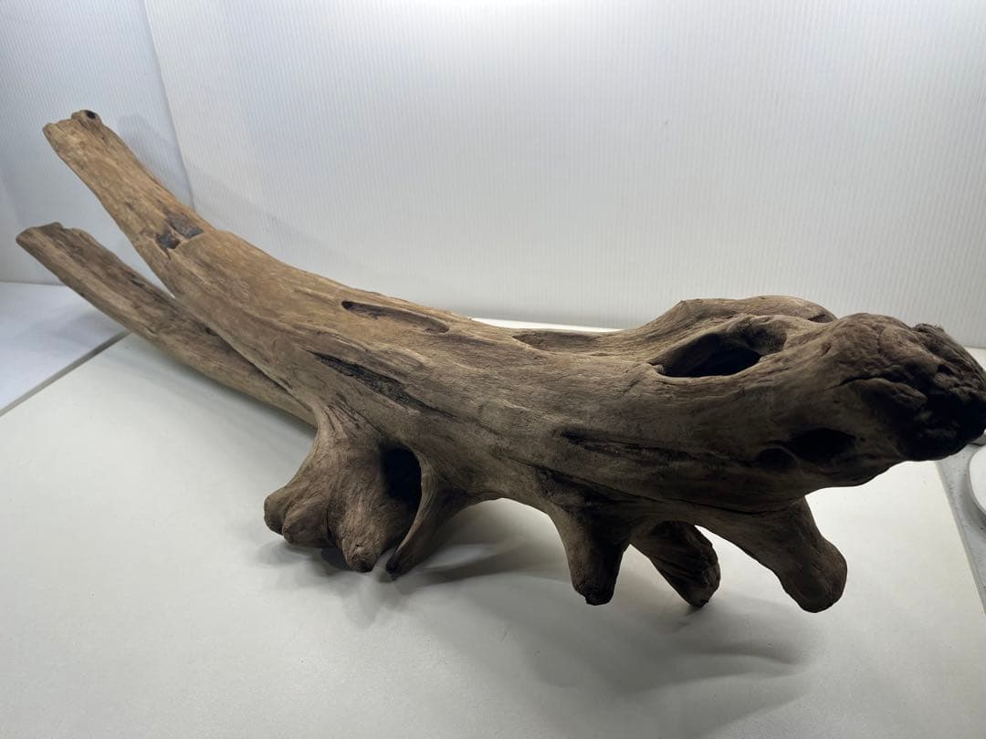 W27特大流木 アク抜き済み流木 爬虫類シェルター 登り木 インテリア