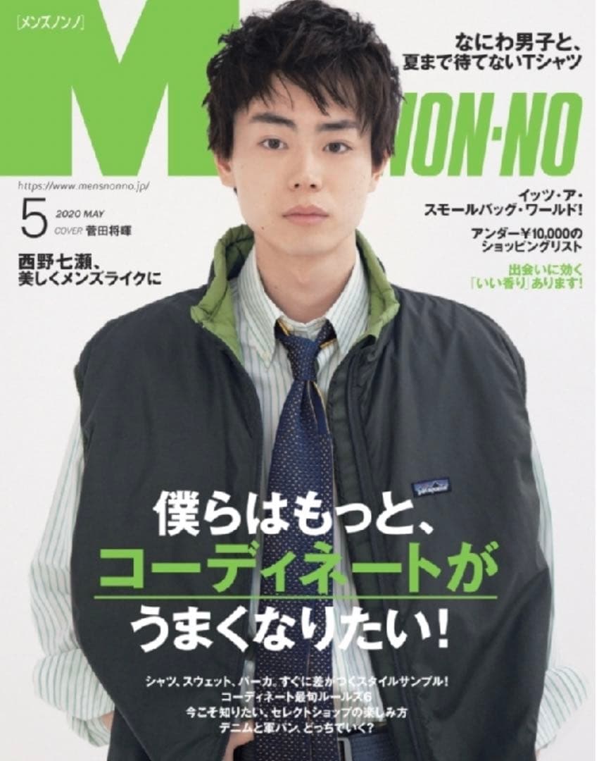 patagonia パタゴニア パフボール ベスト マーズ 菅田将暉着用 - メルカリ