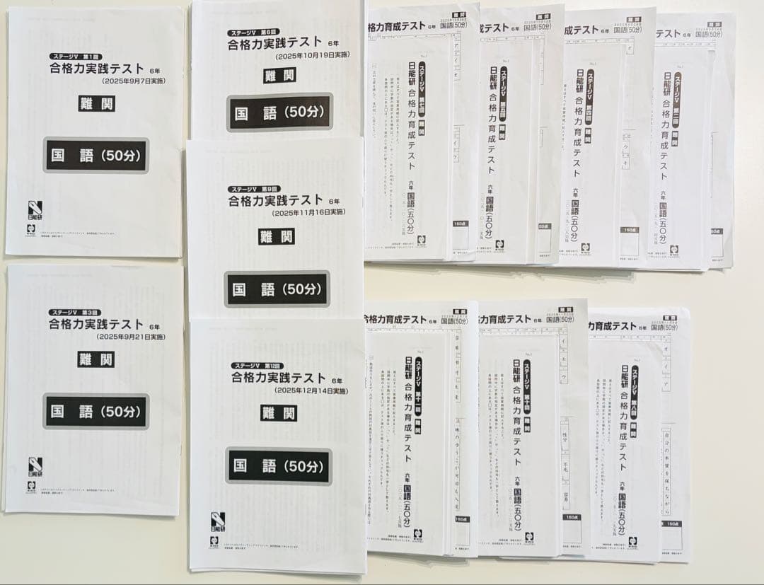日能研合格力育成テスト 合格力実践テスト 6後期フルセット2025年4教科 難関 最新版】2025年日能研6年 後期 合格力育成テスト 合格力実践テスト