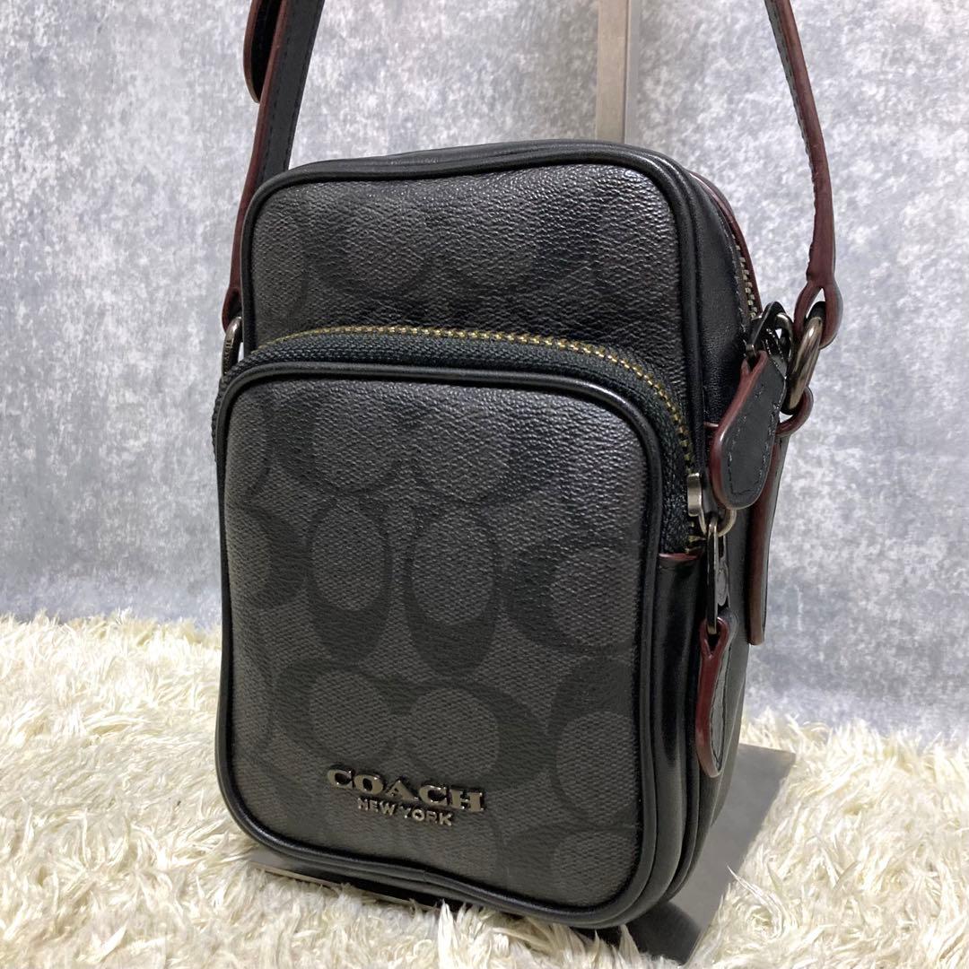 極美品】コーチ ショルダーバッグ レザー PVC グレー シグネチャー