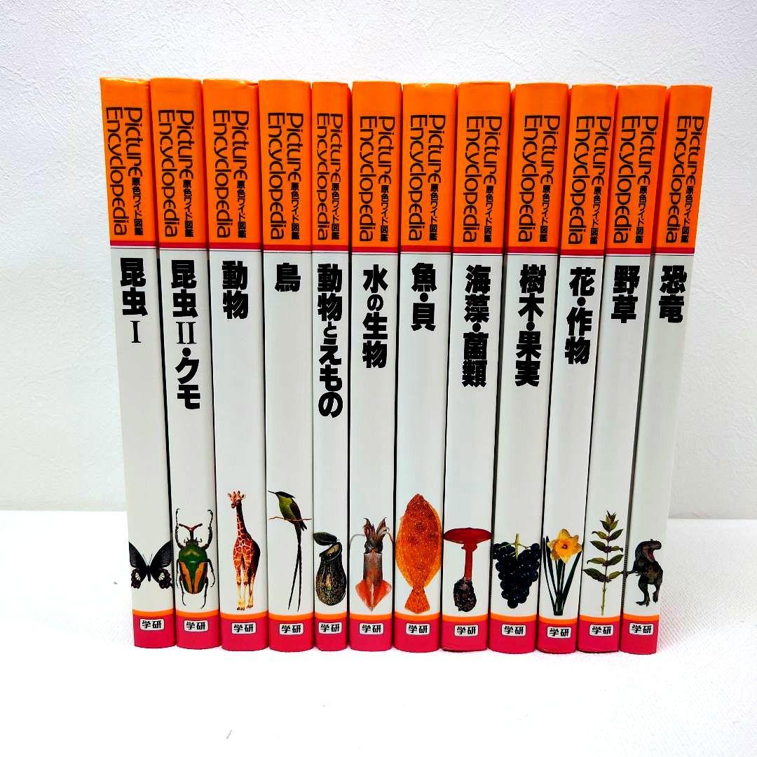 M1122A1 学研 ベスト教科辞典 B C 原色ワイド図鑑 12 14