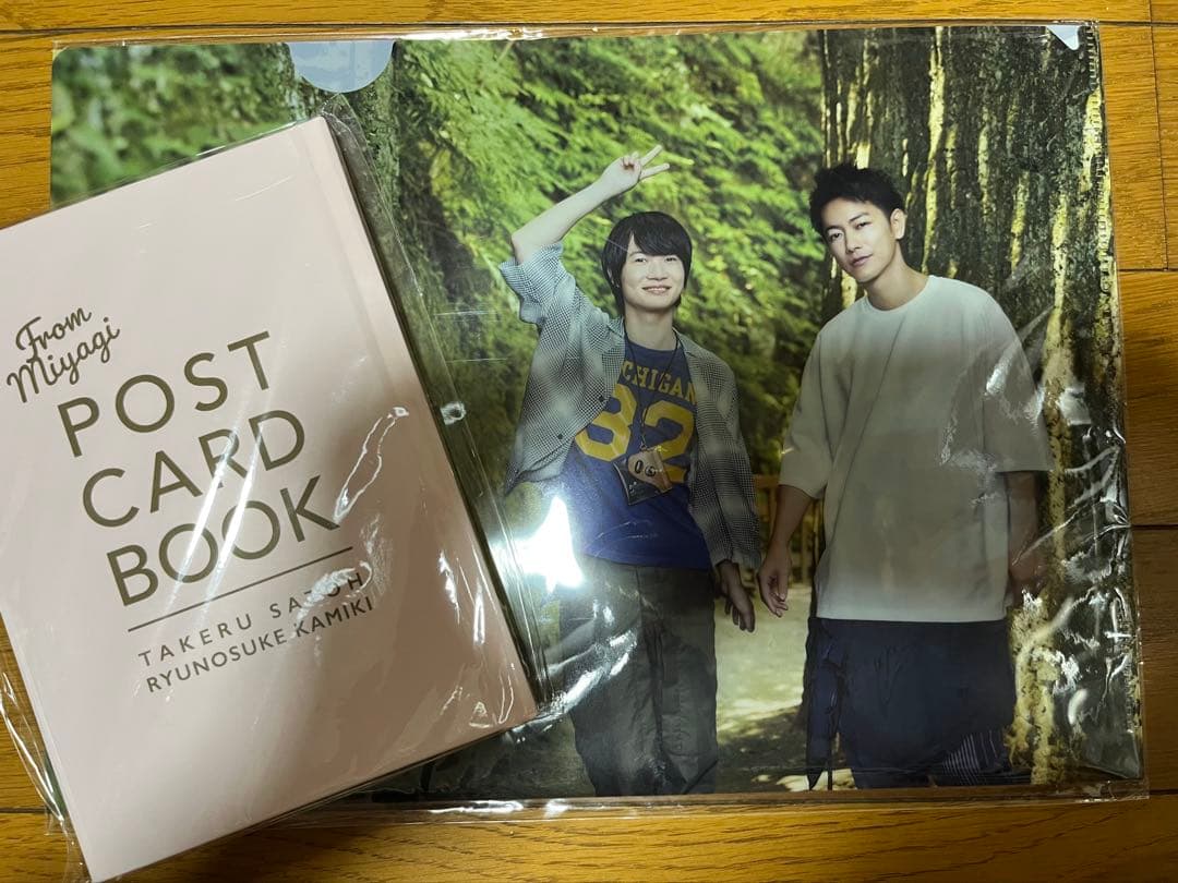 佐藤健さん⭐︎神木隆之介さん♡クリアファイルとポストカード - メルカリ