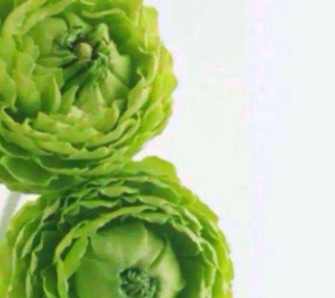 ジー★ R K-2プロジェクト ZX-11（KAWASAKI ZX-11） | ヘリテイジ＆レジェンズ