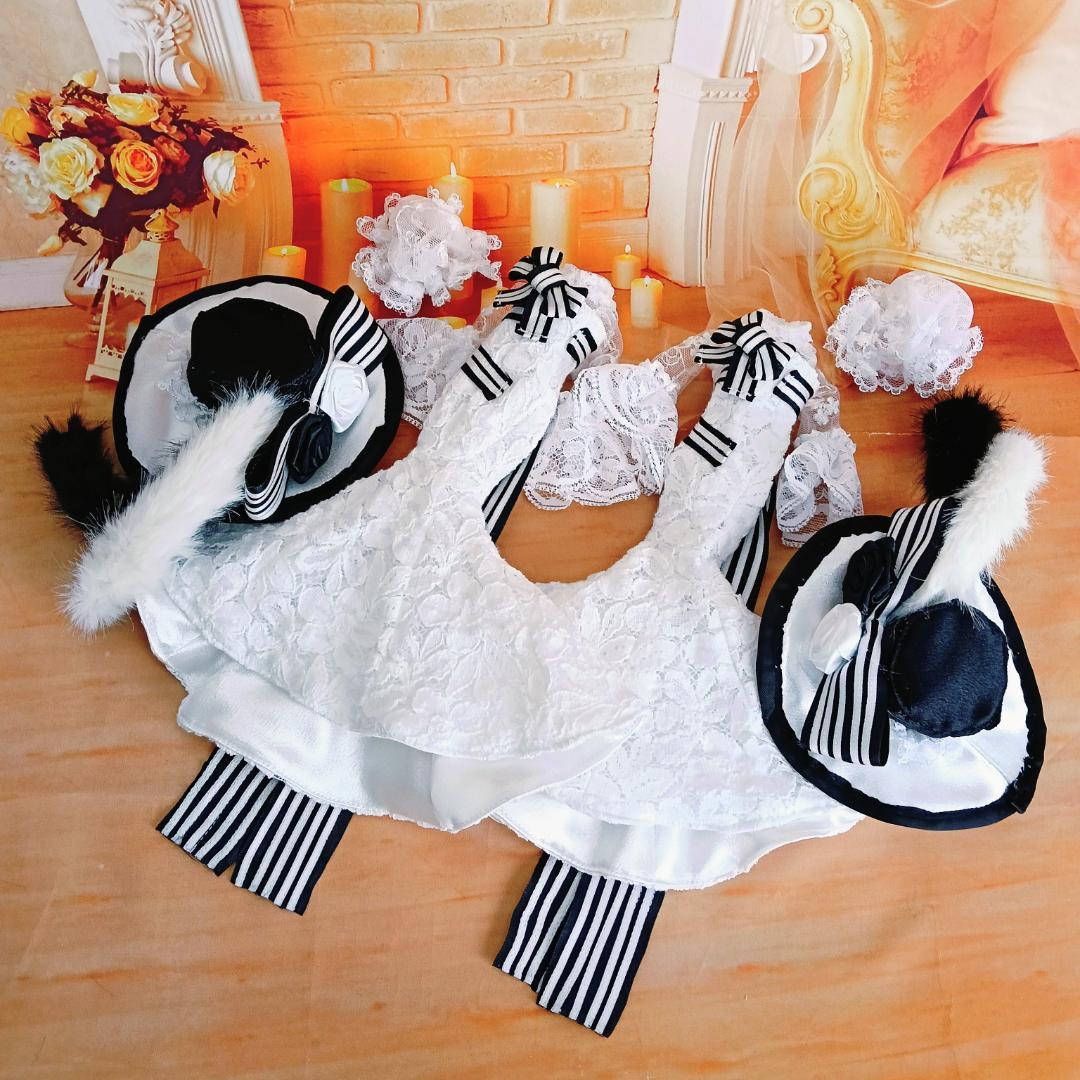 みい様専用 リカちゃんサイズ マーメイドライン ドールドレス4点セット