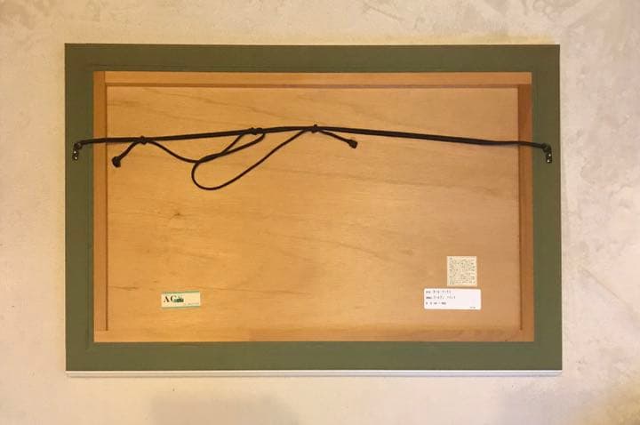 カールバークス ゴールデンフリース ドナルド ディズニー 版画 - メルカリ