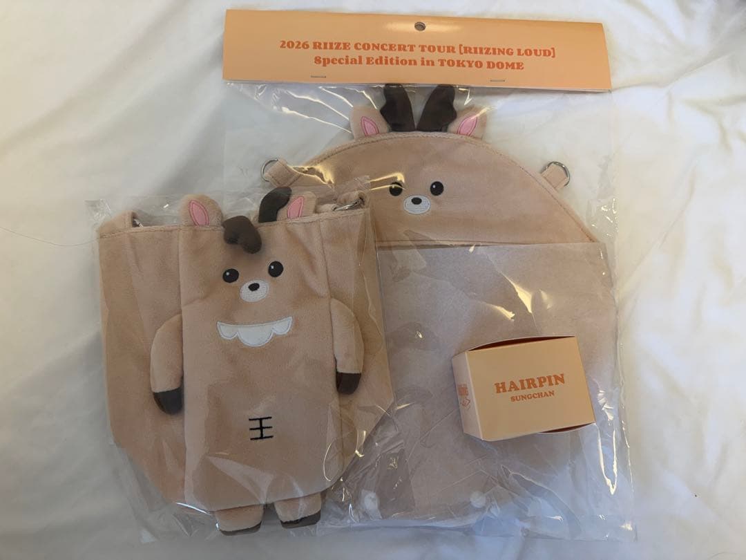 riize うちわホルダー FANLIGHTバッグ ソンチャン ヘアピン - メルカリ