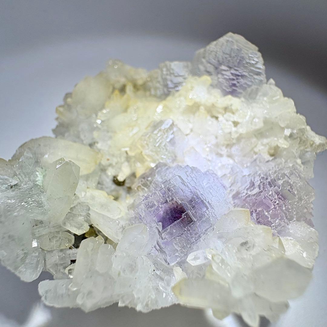 442 中国　シャンバオ鉱山産　フローライト ヤオガンシャン鉱山産 フローライト | 鉱物標本,ハ行,フローライト/蛍