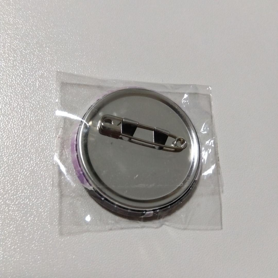 ポケットモンスター】メガサーナイト 色違い プライズ 缶バッジ ポケモン