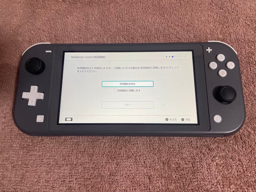 Nintendo Switch Lite グレー 本体 - メルカリ