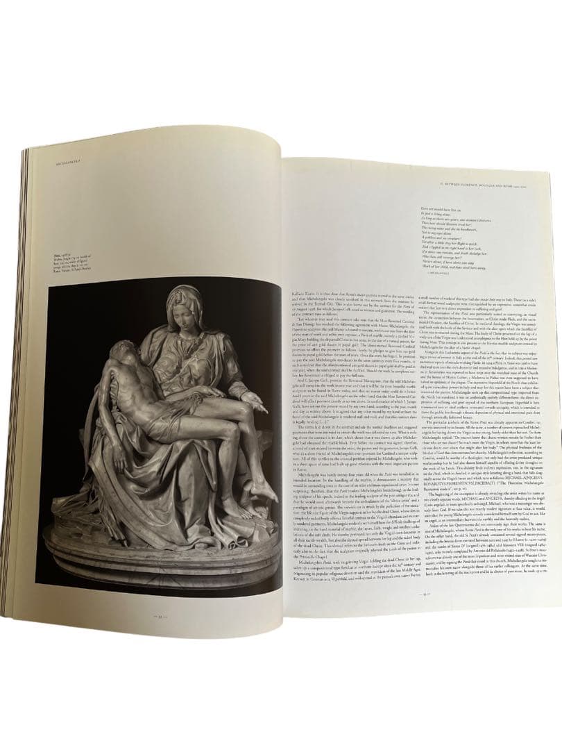 大型本】Michelangelo 『Life and Work』TASCHEN - メルカリ