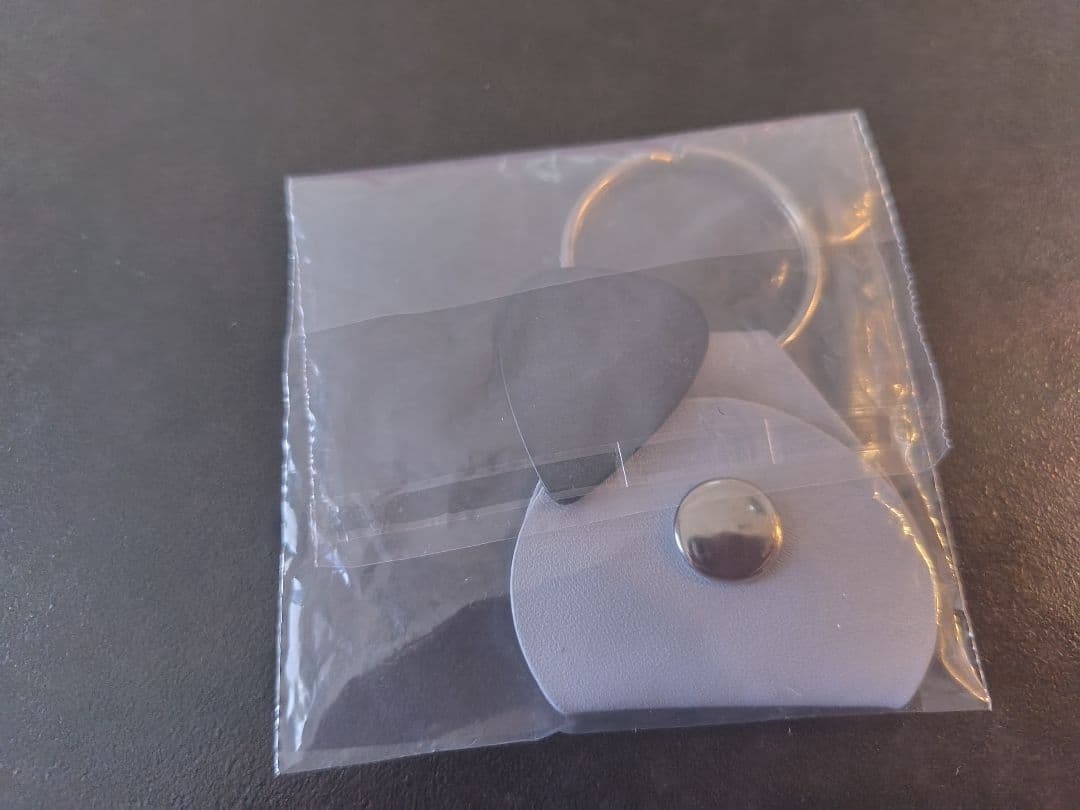 B'z 松本孝弘 TMG イケシブ購入特典 ギブソン ピックホルダー & ピック