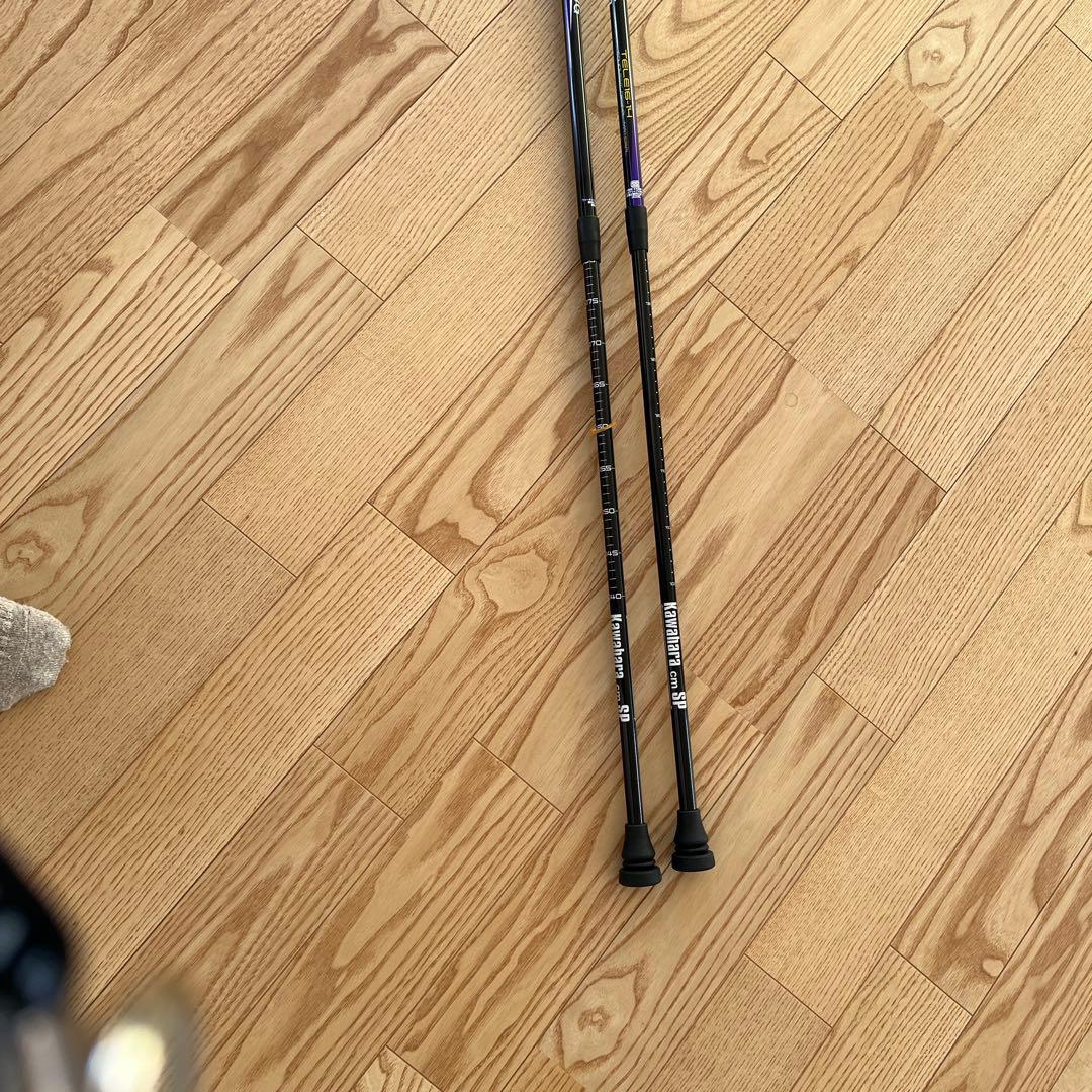 カワハラウォーキング カワハラポール 紫 - メルカリ