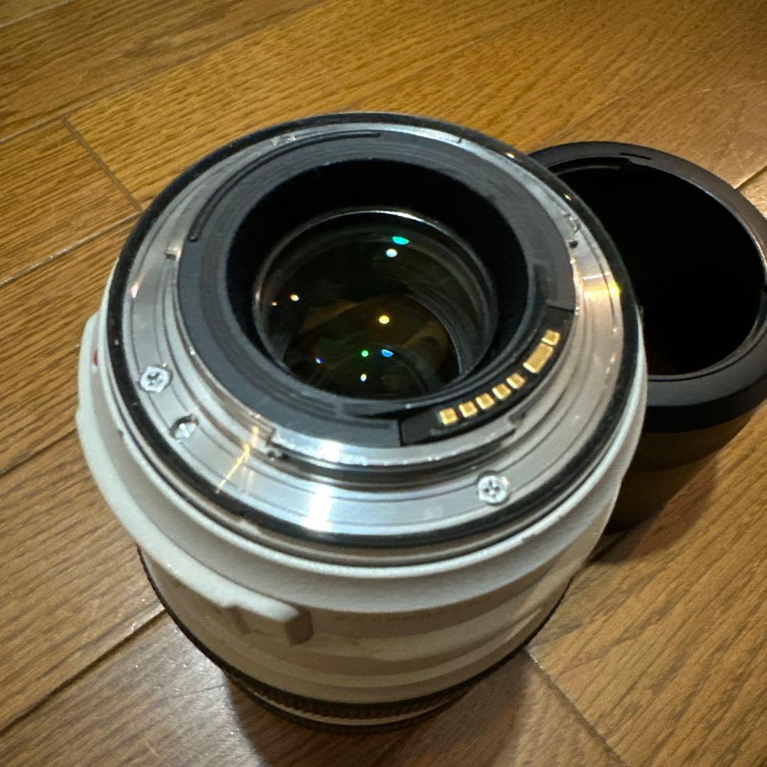 レンズ(ズーム) Canon EF 70-300mm f/4-5.6 L IS USM