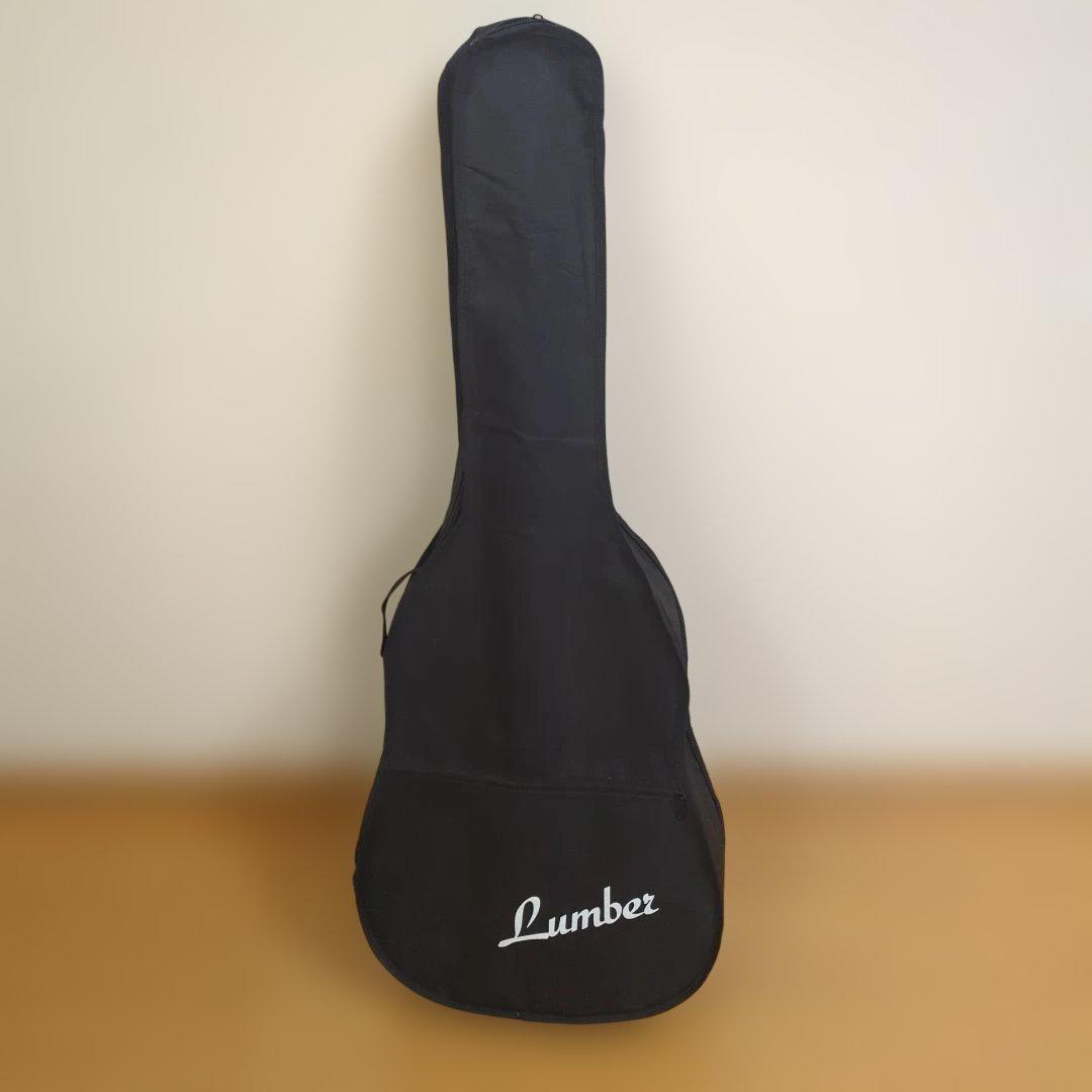 絶版・美品LumberランバーLD30VSアコースティックギター純正ケース＆弦