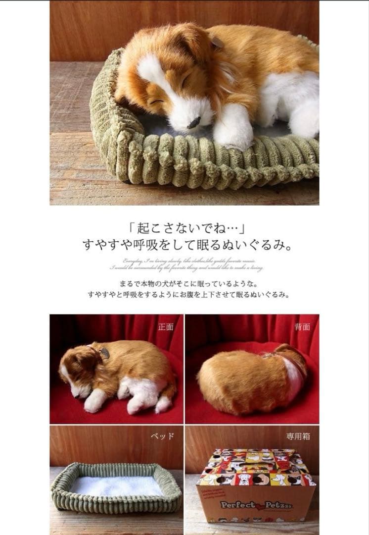 新品】 ニニアンドキノ パーフェクトペット コリー 小型犬 リアル 動物