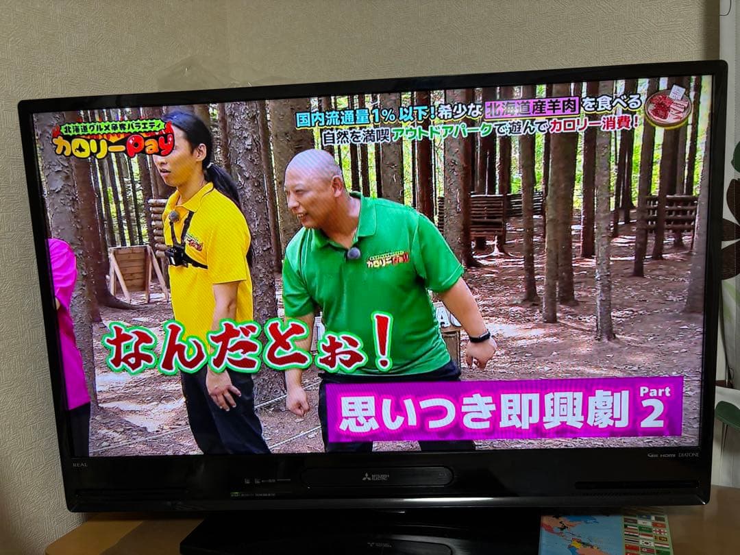 Blu-ray再生機能付き液晶テレビ　40インチ　三菱LCD-V40BHR10 三菱電機 REAL LCD-A40XS1000 [40インチ] 価格比較 - 価格.com