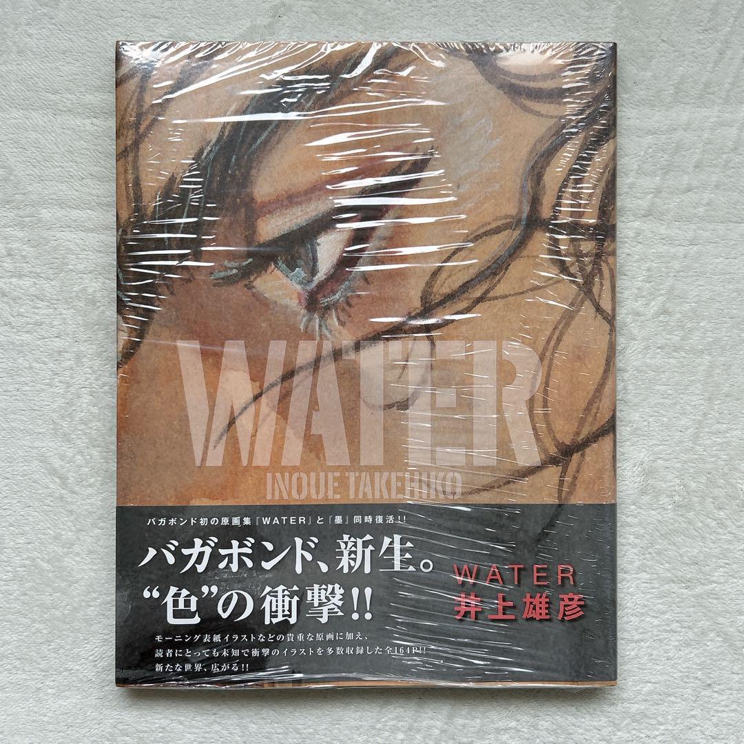 WATER」 バガボンド画集 井上雄彦 | Japonya'daki Mercari'den