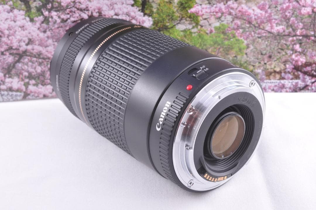 望遠はここから！ Canon キヤノン 望遠レンズ EF75-300mm #9