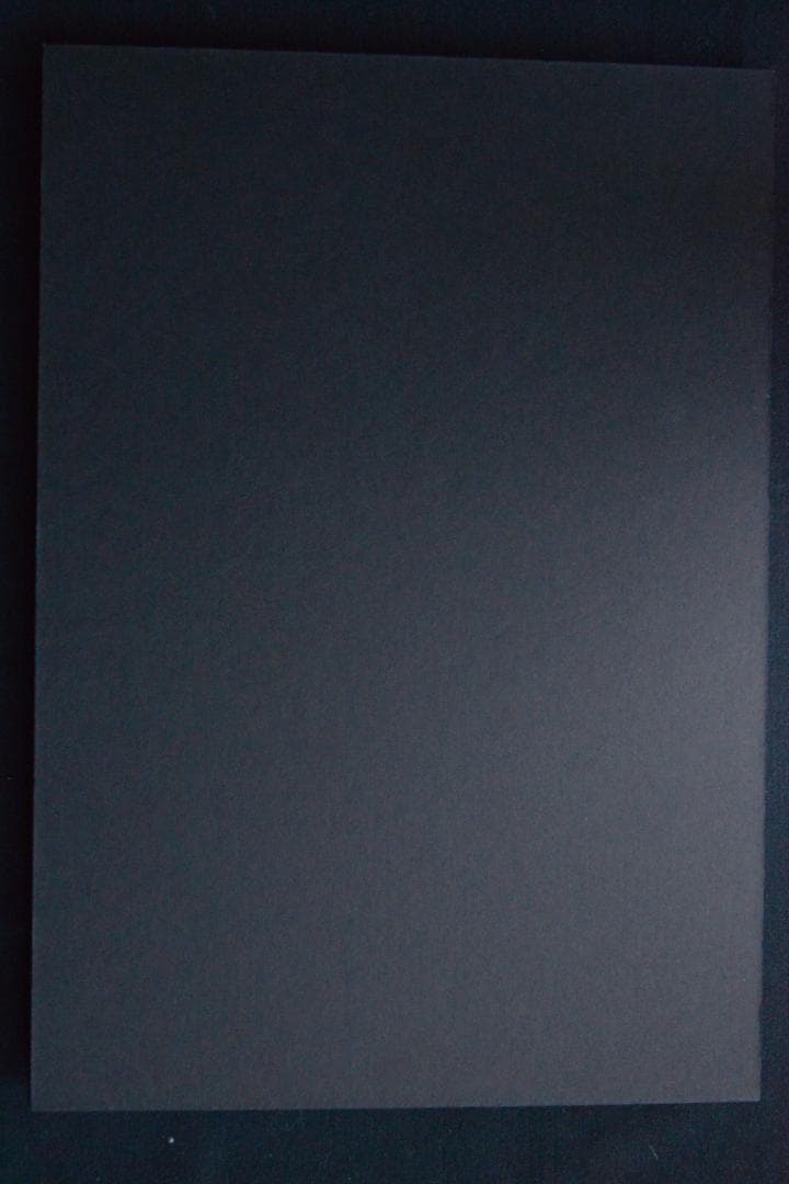 Anne De Gelas：L'amoureuse】☆著者サイン入り - アート・デザイン