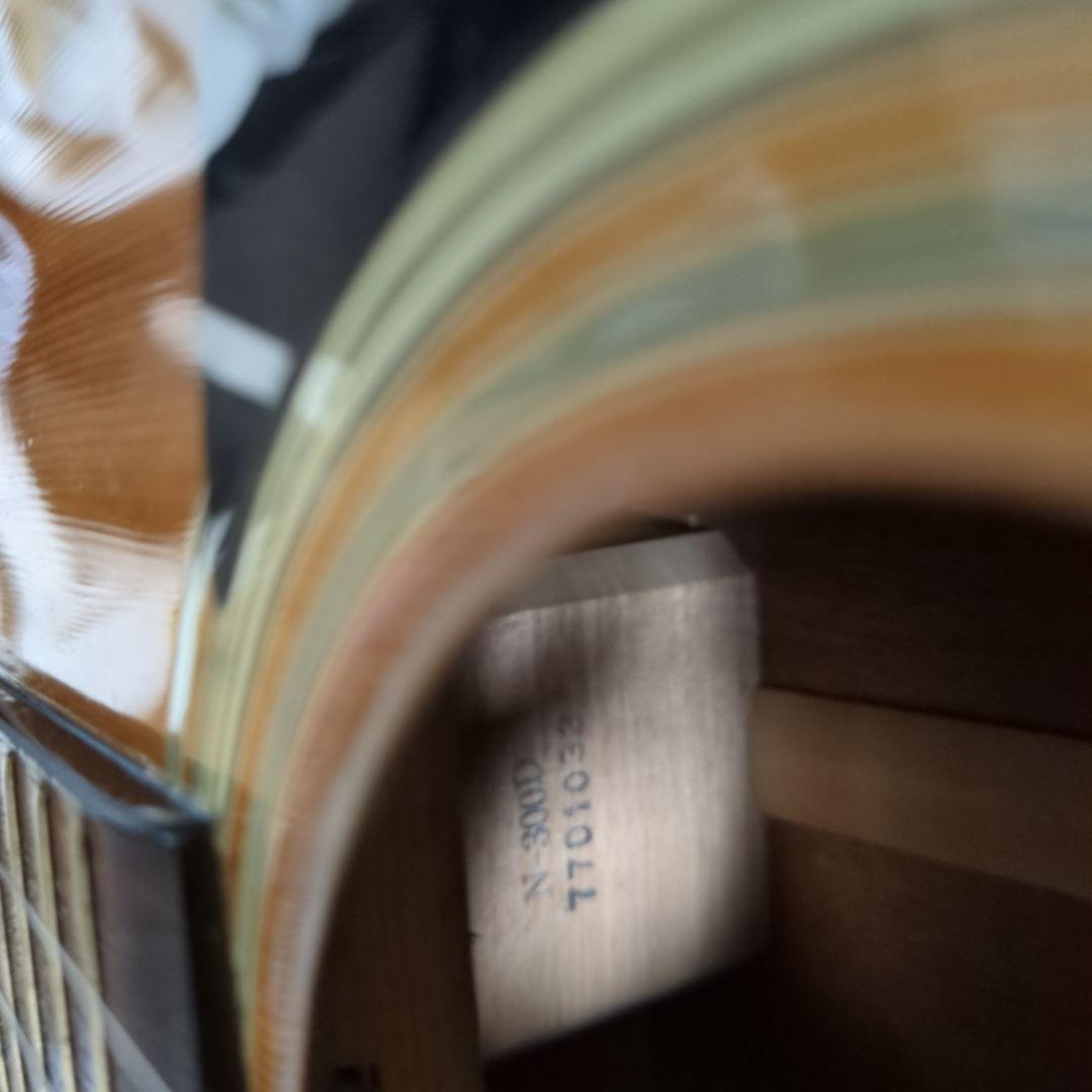 Nashville M series アコースティックギター rohamedspa.com