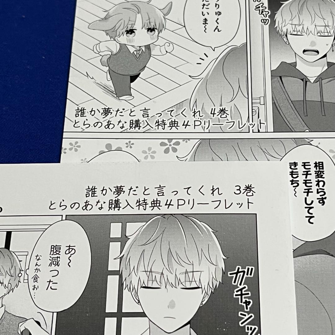 特典*みっしぇる*誰か夢だと言ってくれ 3&4巻*とらのあなリーフレット