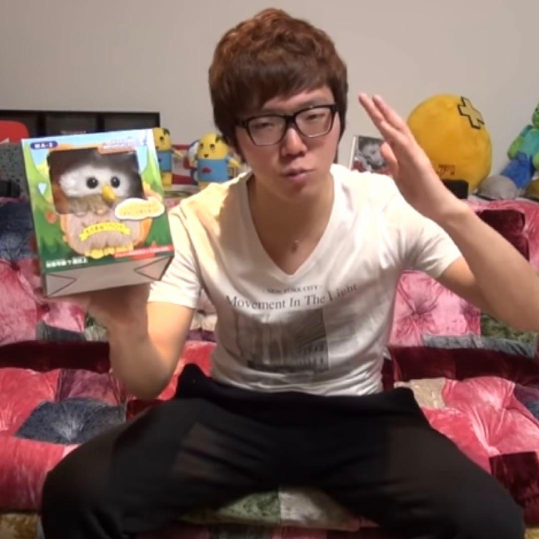 ヒカキン HIKAKIN フクロウ まねっこアニマルン 動作不可 - メルカリ