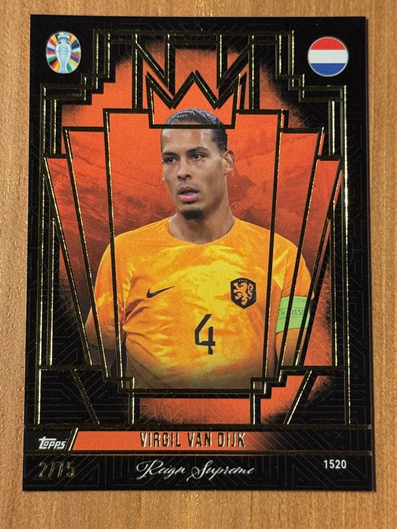 ファン・ダイク /75 レイン・スプリームTTF - メルカリ