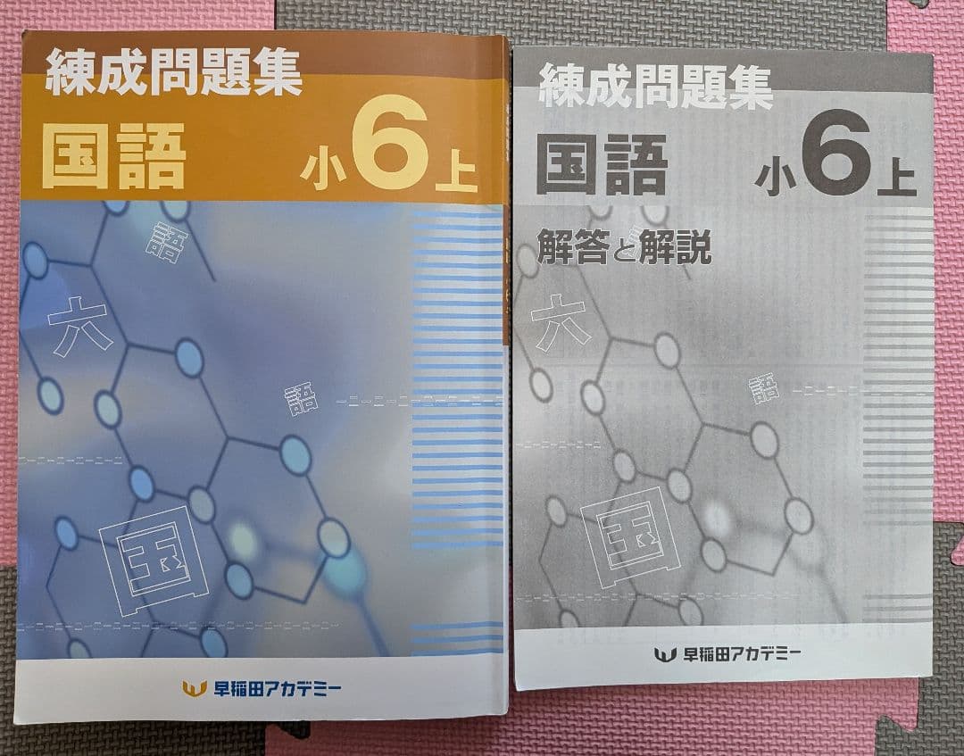 練成問題集 国語 小6 上 2024年購入☆早稲田アカデミー☆6年☆中学受験