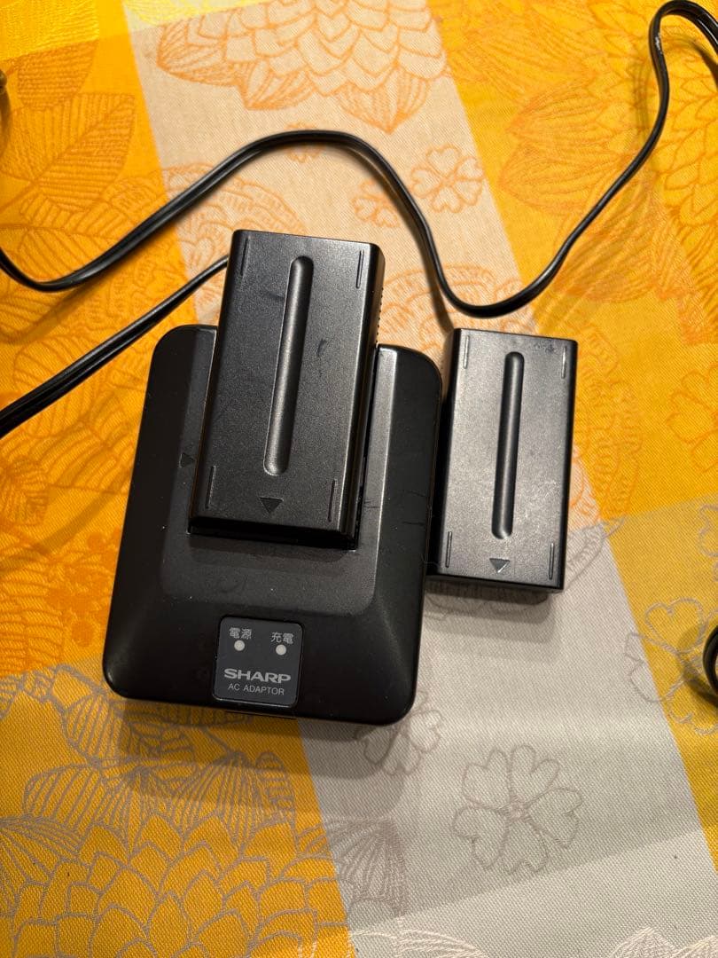 SHARP シャープ VL-FD1 液晶デジタルビューカム ビデオ バッグ有