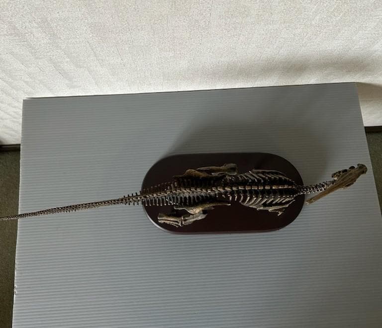 フェバリット コレクション パラサウロロフス 1/20スケール - メルカリ