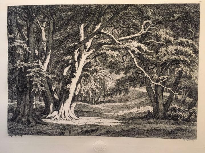 ルーブル美術館刻印あり 深森 版画 - メルカリ