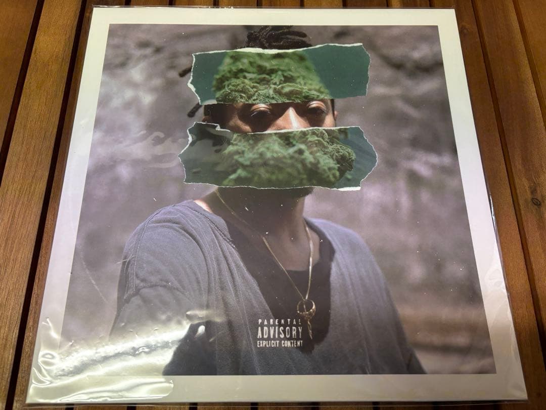 Rudebwoy Face Jam Down LP レコードの通販｜beswd.com