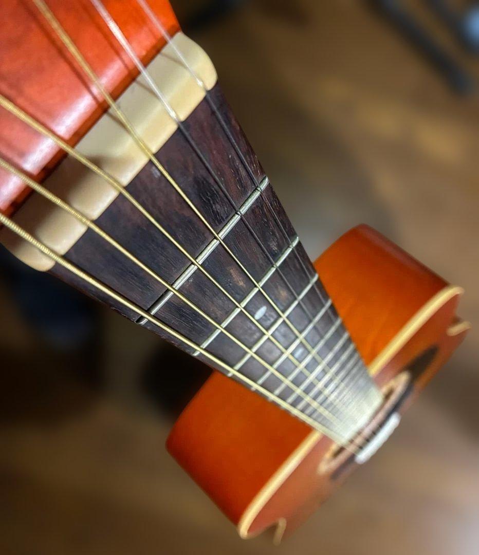 ライカ様専用 Art&Lutherie Folk Cedar Sunrise - メルカリ