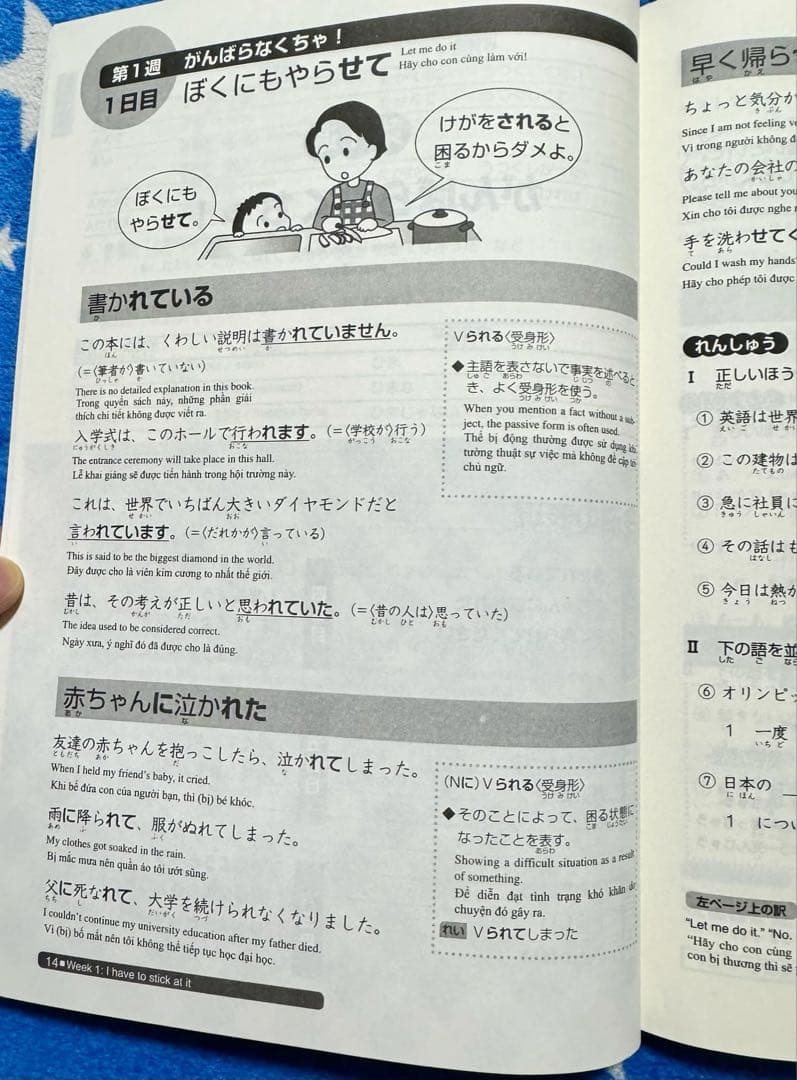 SOMATOME N3 新品 日本語総まとめN3（ベトナム語・英語版）5冊セット