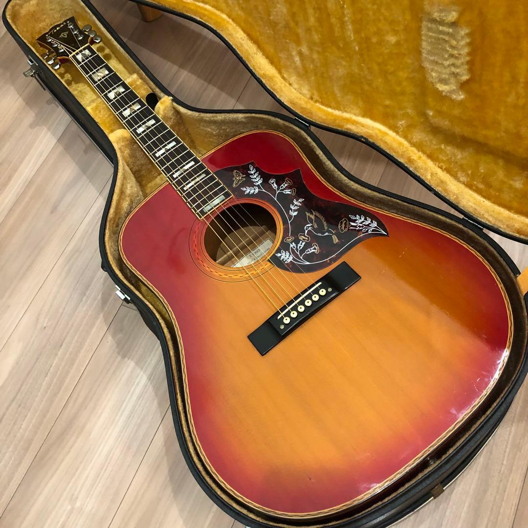 希少❗️70's Jビンテージ ハミングバード❗️エレアコ仕様❗️ 超激