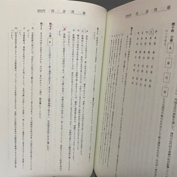 青本 早稲田大学 教育学部 文科系 文系 33年分 駿台予備学校