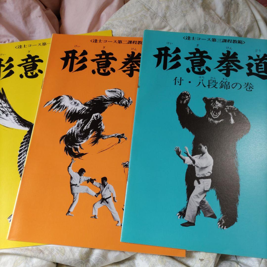 中国拳法大講座（中国拳法通信教育講座）セット - メルカリ