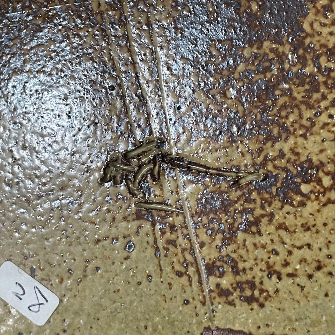 《未使用》高内秀剛　作　大型作品　29×21㎝　織部瓢手鉢　共箱付