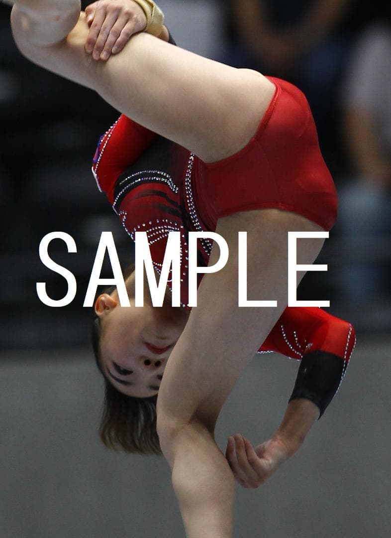 ☆9/30終売☆寺本明日香 画像集(2015～2019年) 約15,500枚