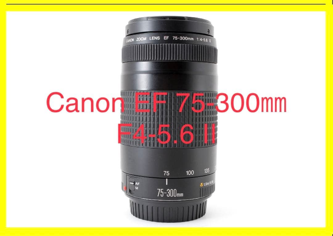 動作品☆キャノン☆Canon EF 75-300mm F4-5.6 Ⅱ Amazon | Canon キヤノン EF 75-300mm F4-5.6 II | カメラ用交換レンズ