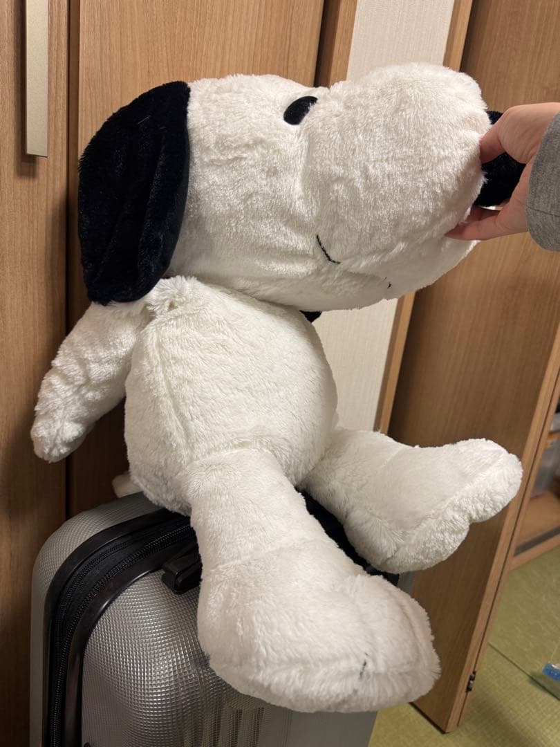 スヌーピー ぬいぐるみ 約30cm （USJのゲームの景品） - メルカリ