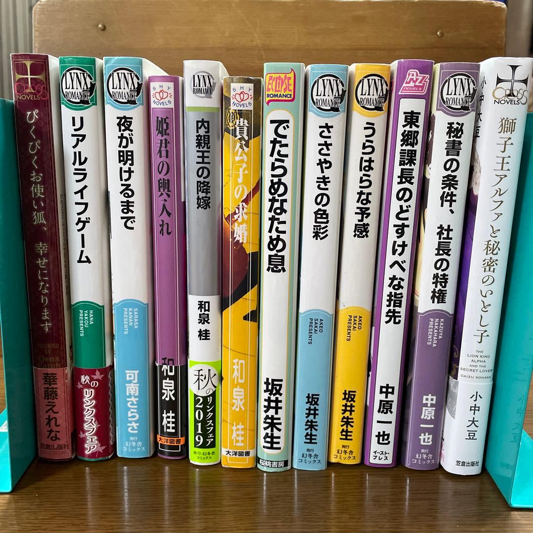 BL小説（大きいサイズ） 12冊セット - メルカリ