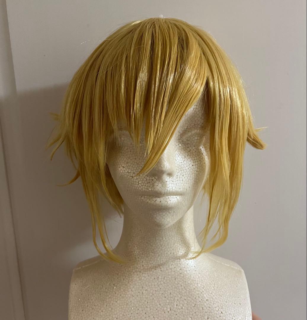 にじさんじ 卯月コウ コスプレ 衣装 ウィッグ - メルカリ