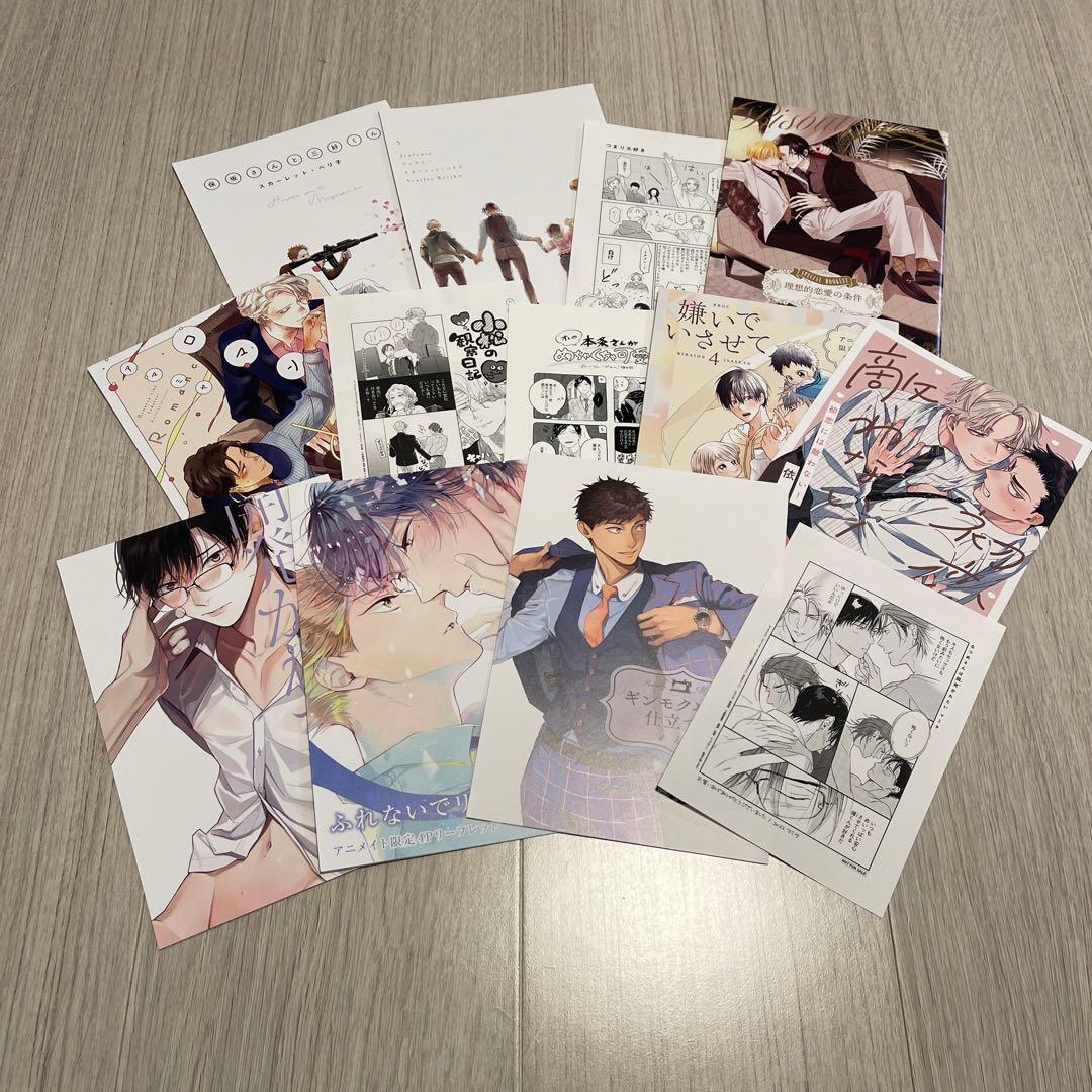特典のみ BL ペーパー 13枚セット アニメイト リーフレット 小冊子