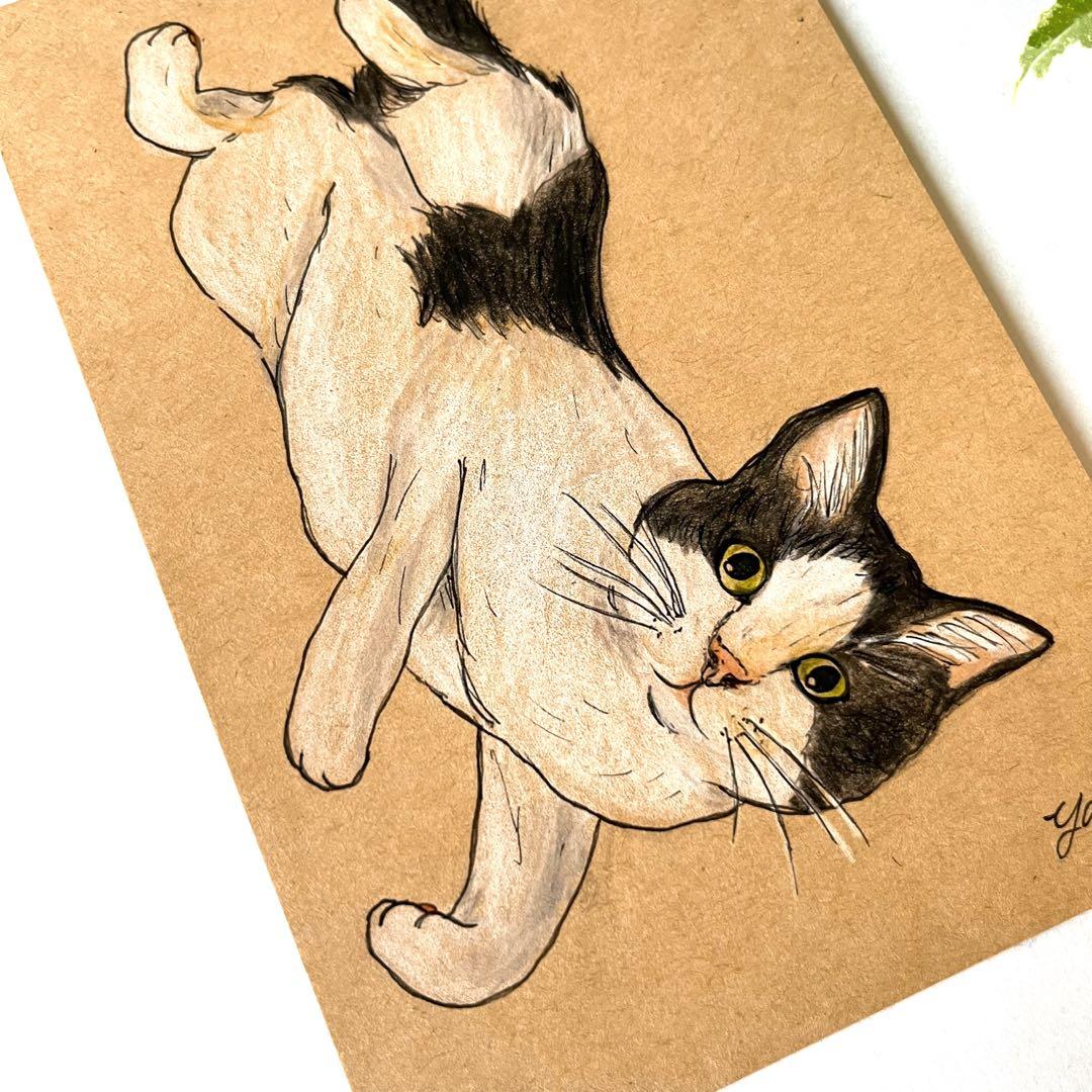 ハチワレ 猫 手書き イラスト 原画 - メルカリ