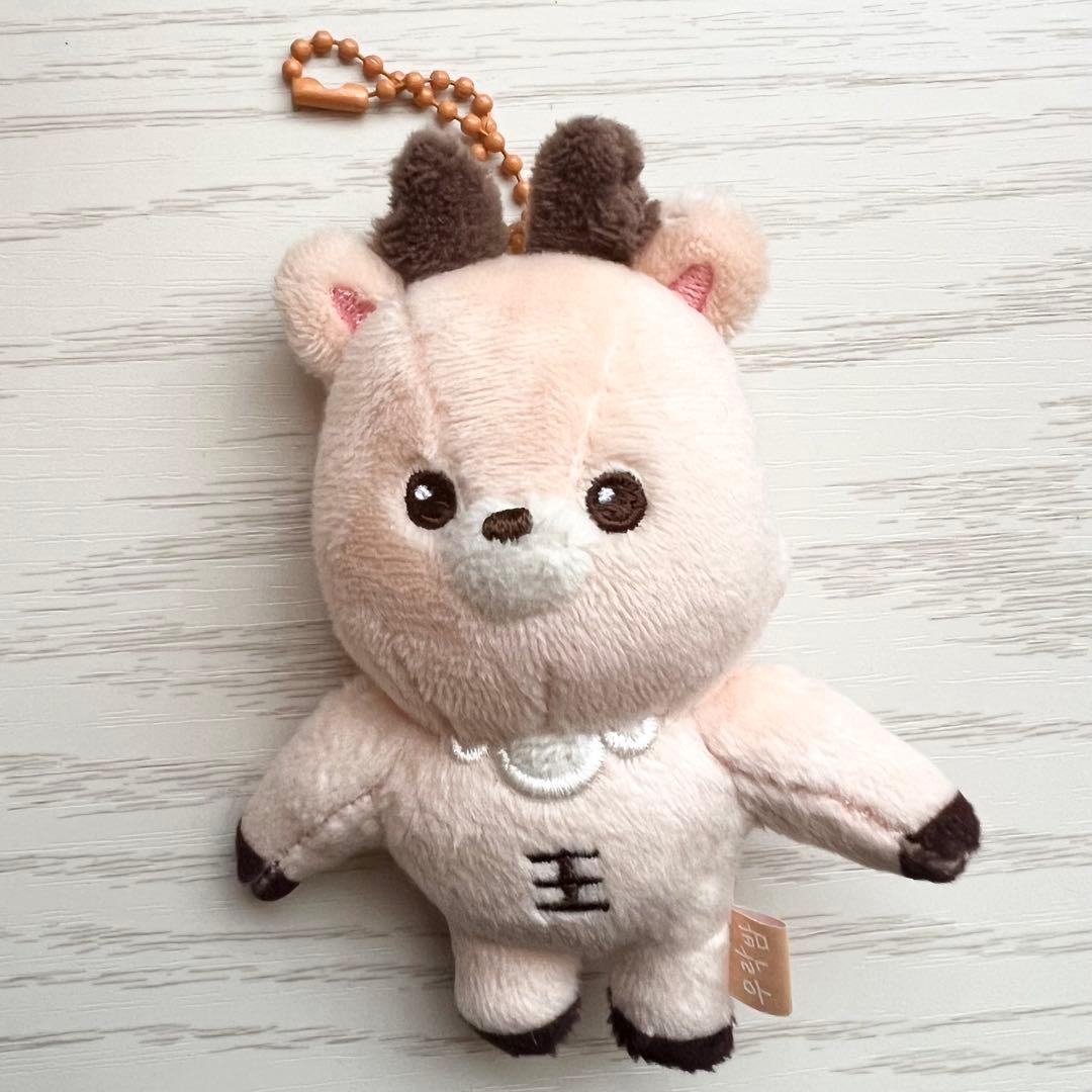 BABY RIIZE KEY RING ソンチャン ウラクバム ウラッバム - メルカリ