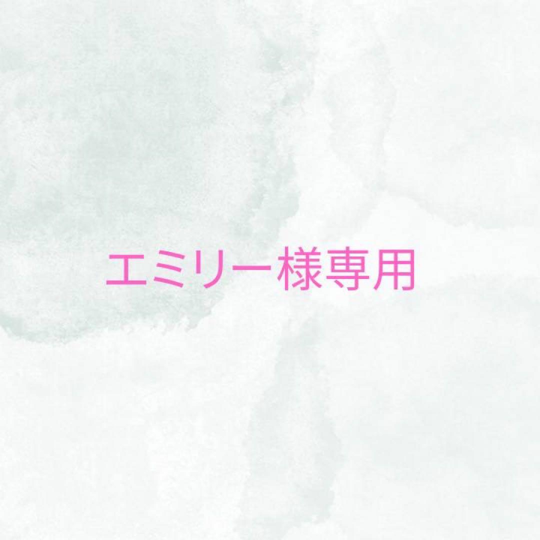 エミリー IMG20241129175913__23705.