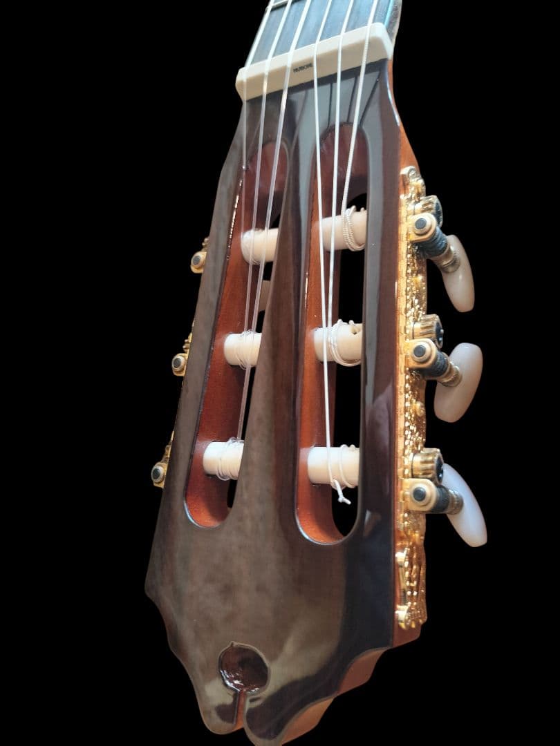 本日迄☆エレガットギター☆ワッシュバーン Washburn C64SCE☆ - メルカリ