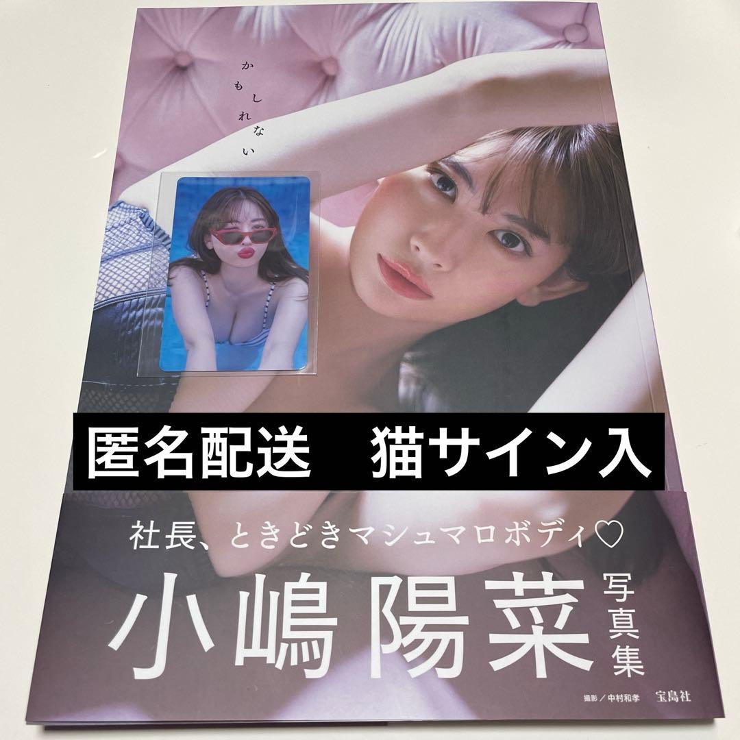 かもしれない 小嶋陽菜 写真集 サイン入 - メルカリ