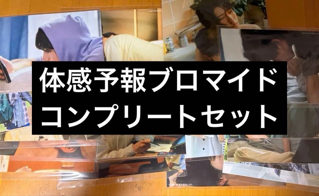 ドラマ体感予報 ランダムブロマイド コンプリートセット せがだよ